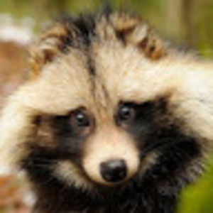 Meet your Posher, Alexander